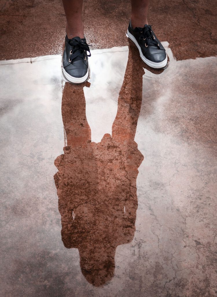 reflex, water, splash